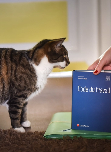 Photo de Ma&icirc;tre Isis LE CHAT